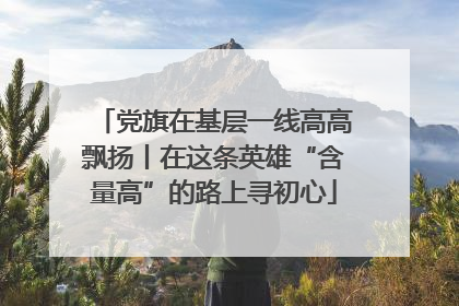 党旗在基层一线高高飘扬丨在这条英雄“含量高”的路上寻初心